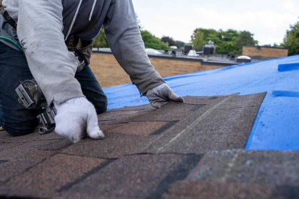 Roof Repair Estimates in Holden, MO