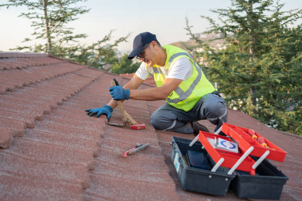 Professional Roofing Contractor in Holden, MO