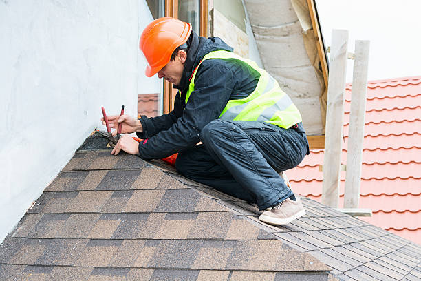 Best Roof Maintenance Services  in Holden, MO