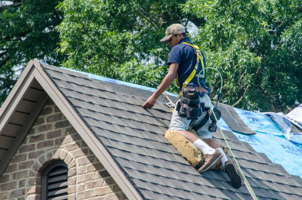 Best Roof Waterproofing Services  in Holden, MO